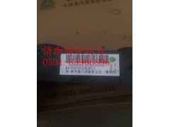 AZ9725538203,散热器下减振垫总成,济南易辰动力汽车配件公司