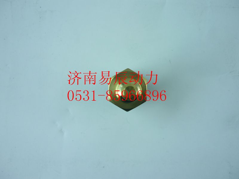 R61540090005,柴油温度传感器,济南易辰动力汽车配件公司