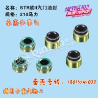 濟(jì)南秦燕STR 310馬力氣門油封 重汽配件