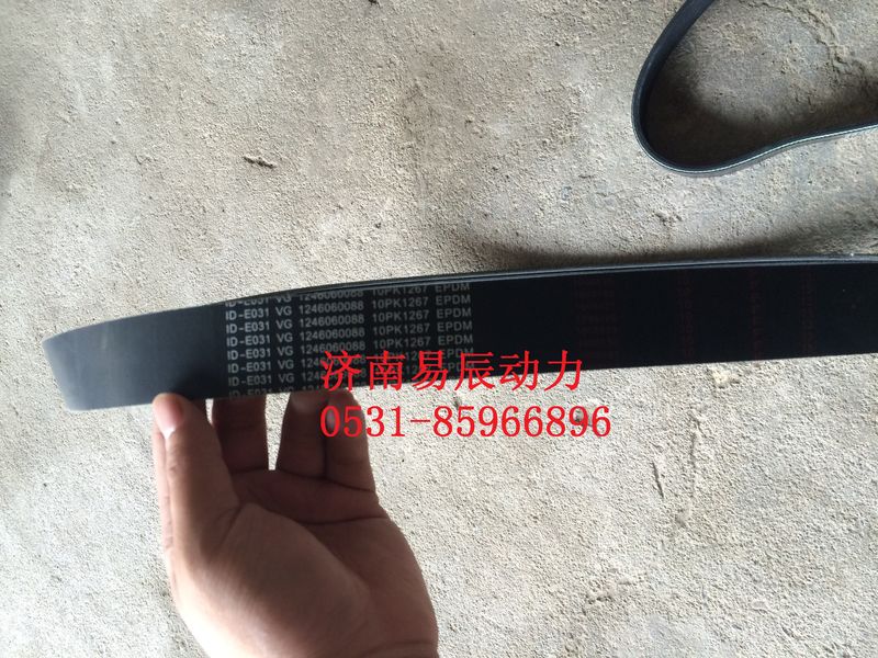 VG1246060088,多楔带,济南易辰动力汽车配件公司