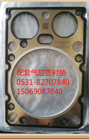 VG1500040065,汽缸垫,济南瑞隆工贸重卡动力专营