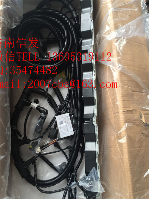 812W25424-6365重汽T5G发动机线束1/812W25424-6365重汽T5G发动机线束1