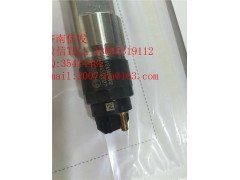 0445120127德龙喷油器博世图1