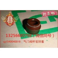 供VG1246050027重汽豪沃斯太尔金王子发动机气门油封