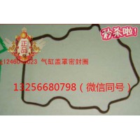 供VG1246040023重汽豪沃斯太尔发动机气缸盖罩密封圈
