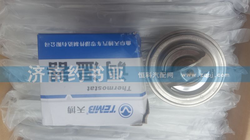 61800061040节温器心/61800061040