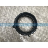 大運(yùn)重卡放水膠管117HAA00003