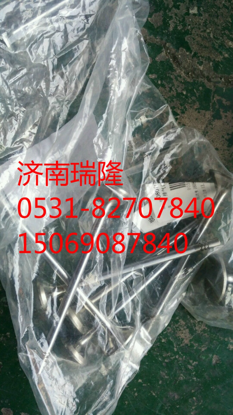 080V04101-0538,排气门,济南瑞隆工贸重卡动力专营