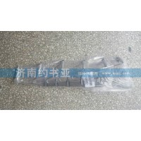 VG1246080002高壓油管