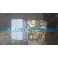 WP12C全车水都