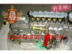 VG1092080120,发动机喷油泵总成,济南凯尔特商贸有限公司