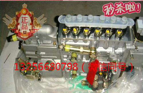 VG1092080120,发动机喷油泵总成,济南凯尔特商贸有限公司
