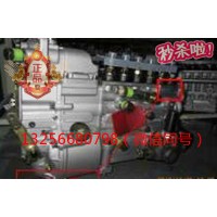 供应VG1093080180重汽豪沃斯太尔发动机喷油泵总成