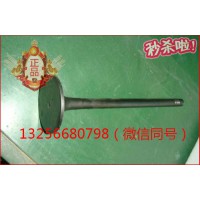 供应VG1096050015重汽豪沃斯太尔金王子发动机进气门
