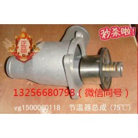 供应VG1500060118重汽豪沃斯太尔金王子发动机节温器