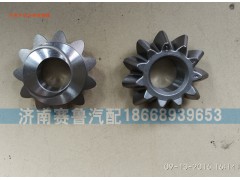 WG9231320227,差速器行星齿轮,济南赛鲁汽配有限公司