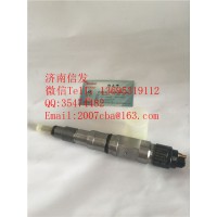 0445120415重汽曼mc13喷油器