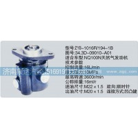 轉(zhuǎn)向泵34.3D-09010-A01濟(jì)南泉達(dá)汽配