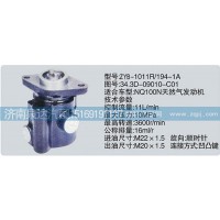 轉(zhuǎn)向泵34.3D-09010-C01濟(jì)南泉達(dá)汽配