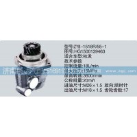 轉(zhuǎn)向泵HG1500139463濟(jì)南泉達(dá)汽配
