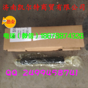 61560080305,豪沃斯太尔金王子喷油器总成,济南凯尔特商贸有限公司