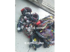 豪沃整车线束 德龙驾驶室线束 线路电脑版德龙底盘线束德龙底盘线路,豪沃整车线束 德龙驾驶室线束 线路电脑版德龙底盘线束德龙底盘线路,山东豪联车身制造厂