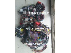 德龙潍柴发动机线路 德龙底盘线路豪沃底盘线路ISM发动机变速器线束,德龙潍柴发动机线路 德龙底盘线路豪沃底盘线路ISM发动机变速器线束,山东豪联车身制造厂