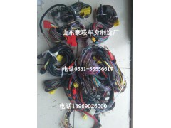 德龙潍柴发动机线路 德龙底盘线路豪沃底盘线路ISM发动机变速器线束,德龙潍柴发动机线路 德龙底盘线路豪沃底盘线路ISM发动机变速器线束,山东豪联车身制造厂
