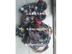 德龙潍柴发动机线路 德龙底盘线路豪沃底盘线路ISM发动机变速器线束,德龙潍柴发动机线路 德龙底盘线路豪沃底盘线路ISM发动机变速器线束,山东豪联车身制造厂