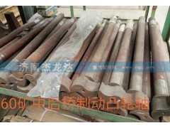 ,制动凸轮轴,济南杰龙达重型汽车有限公司
