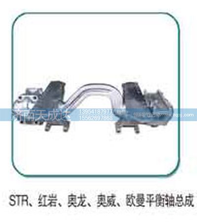 ,平衡轴总成,济南天成达汽车配件有限公司