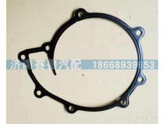 080V06901-0196,水泵密封垫,济南赛鲁汽配有限公司