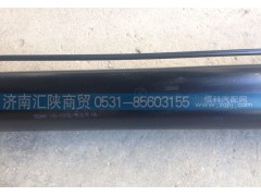 DZ97259820102,X3000驾驶室翻转油缸,济南汇陕商贸有限公司
