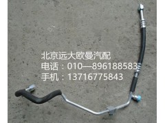 1B24981209030,储—蒸管路总成,北京远大欧曼汽车配件有限公司