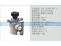 612600130451,转向泵,济南泉达汽配有限公司