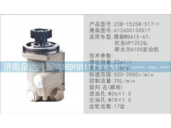 612600130517,转向泵,济南泉达汽配有限公司