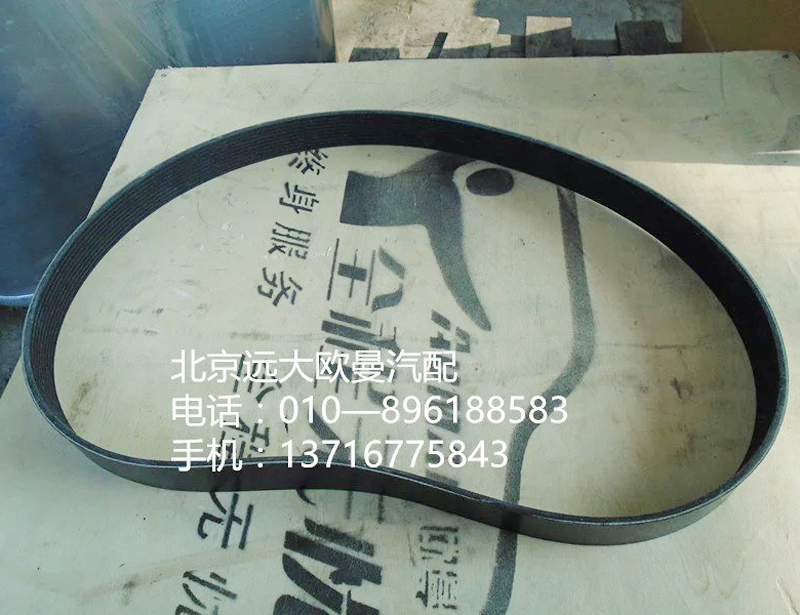 3696537 水泵皮带/3696537