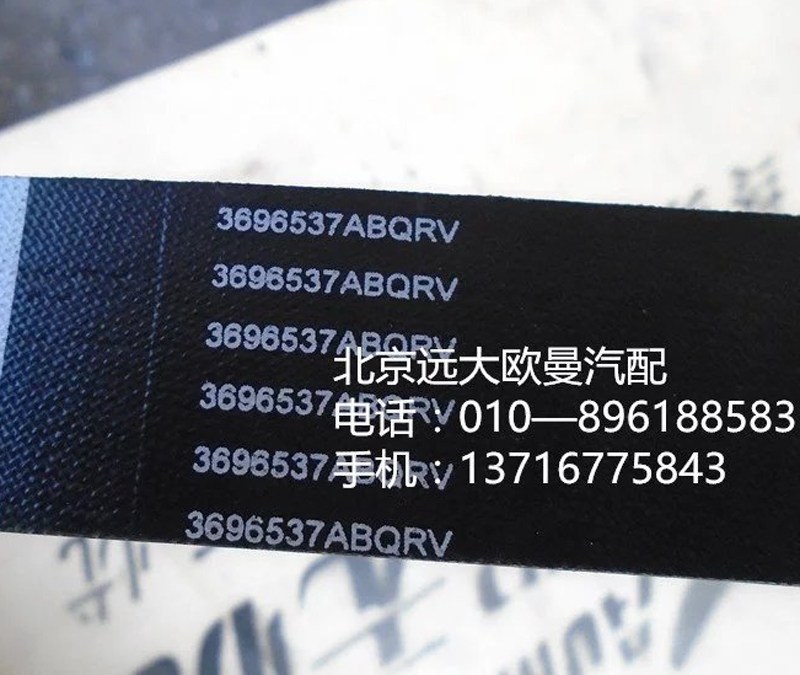 3696537 水泵皮带/3696537