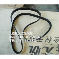 3696538f v凌皮带
