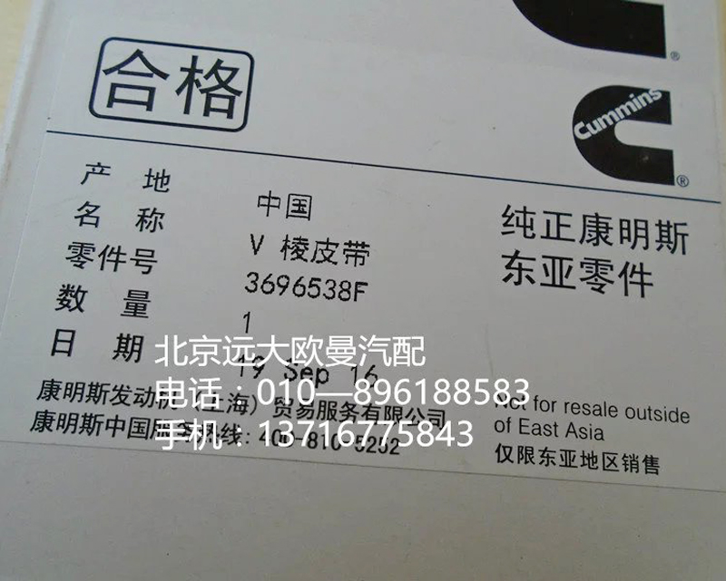 3696538f v凌皮带/3696538f