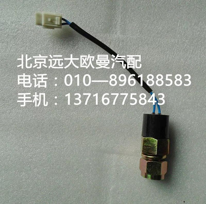 141733661001,熄火开关,北京远大欧曼汽车配件有限公司