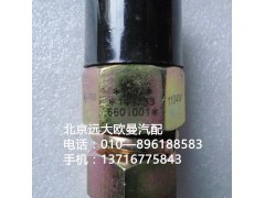 141733661001,熄火开关,北京远大欧曼汽车配件有限公司