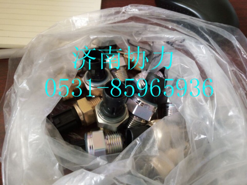 VG1092090311  电子机油压力传感器（MC11）图2