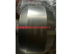 WG7117328010/1,轴间差速器壳,济南瑞莱特汽车零部件有限公司