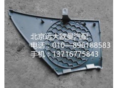 H4610160011A0,左车门扬声器面罩,北京远大欧曼汽车配件有限公司