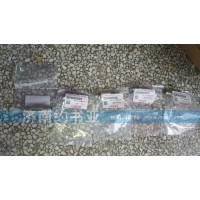 095420-0260共軌組件限壓閥