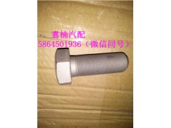 ,平衡轴盖板螺栓,济南翥楠汽车配件有限公司
