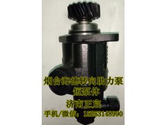 DZ9100130028,助力泵/叶片泵/齿轮泵,济南正宸动力汽车零部件有限公司