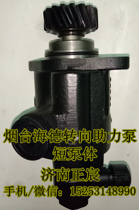 DZ9100130029,助力泵/叶片泵/齿轮泵,济南正宸动力汽车零部件有限公司