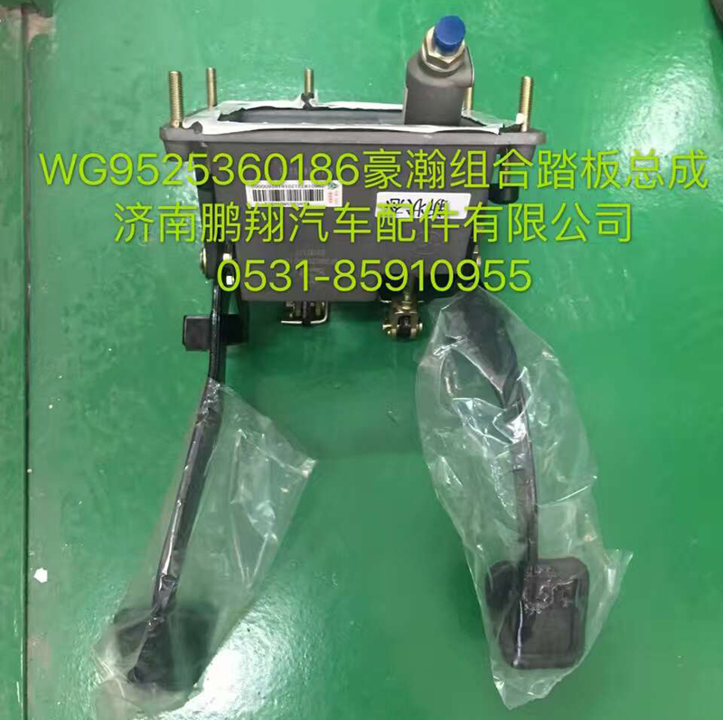 WG9525360186,豪翰组合踏板总成,济南鹏翔汽车配件有限公司